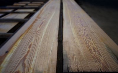 The History of Heart Pine